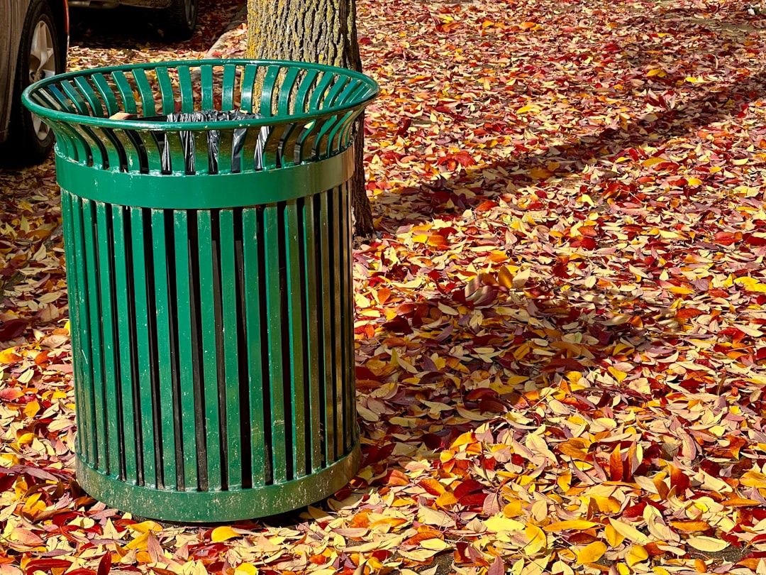 A green street trash bin surrounded by amber leaves on the sidewalk.