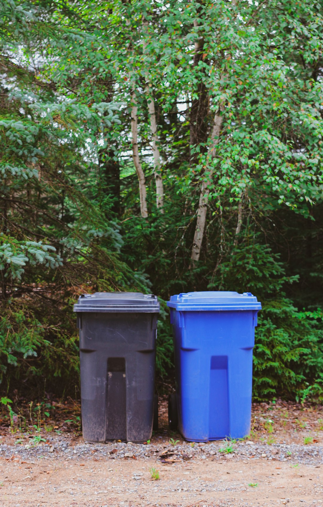 green-and-blue-trash-bins-3fptmyflfkq